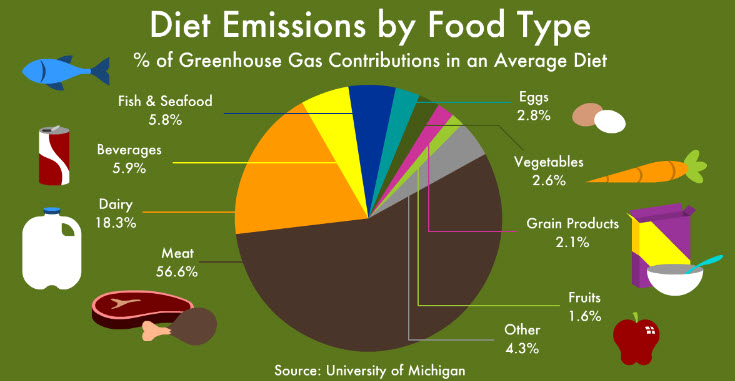 Carbon Emissions of Common Types of Food